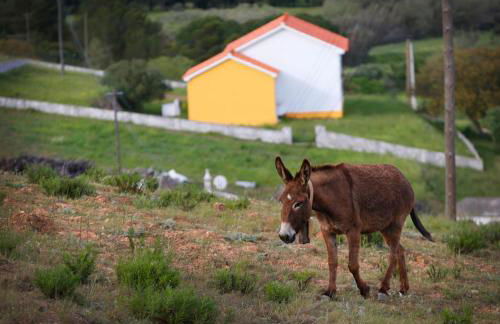 Casa Amado, Aldeia da Pedralva - Foto 30