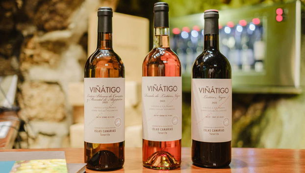 Visita a las Bodegas Viñátigo - Foto 3, Descubriréis el arte de crear un vino auténtico