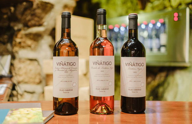 Visita às Bodegas Viñátigo - Foto 3