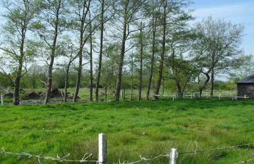 Ferienhof Schlachter - Foto 28