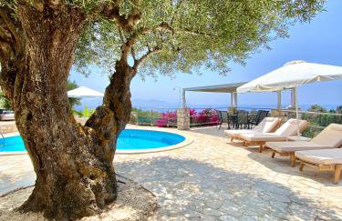 Federico Villa - Foto 2