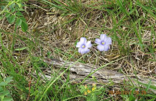 Ferienwohnung Rhönbergblick - Foto 38
