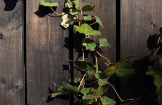 Domki Czarny Bocian - Foto 61