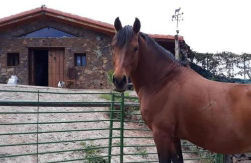 Holiday Home Finca Sunny Scape Rural by Interhome - Foto 36