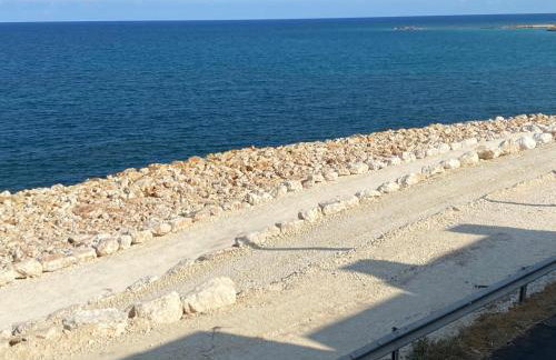 Levante - Photo 19
