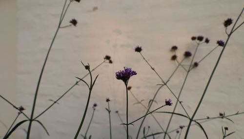 Ferienhaus Bullenberg - Foto 5