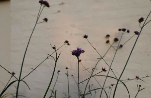 Ferienhaus Bullenberg - Foto 5