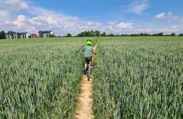 Złota Widokówka - Foto 33