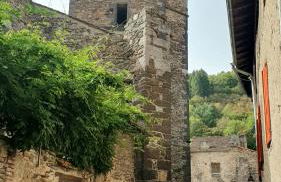 Le Poulailler - Foto 12