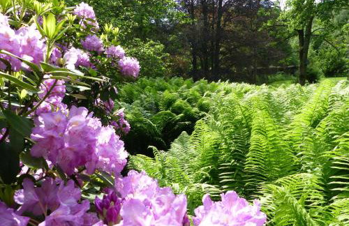 Ferienwohnungen Reichholdsmühle - Foto 6