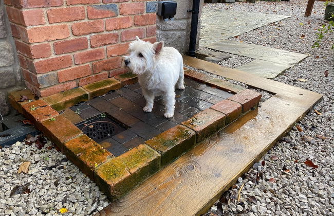 Robin Hood Tower - Foto 12