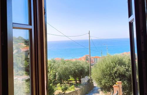 Le Miromar - Foto 58