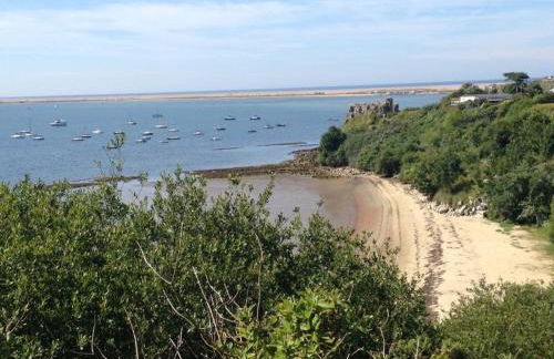 Little Gem - Photo 2