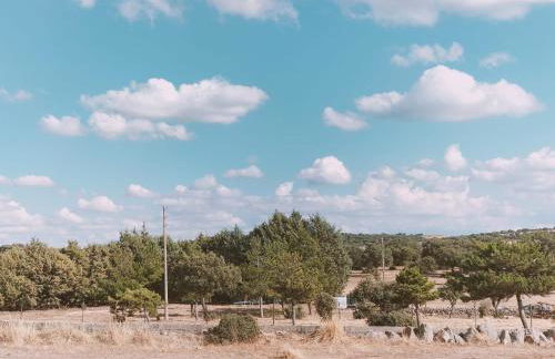 Apartamentos Walden by gaiarooms - Foto 86