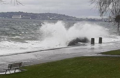 Alki Beach Cottage, NEW, 2 bedrooms, 2 bathrooms, near beach, AC, WD, Parking - Foto 36