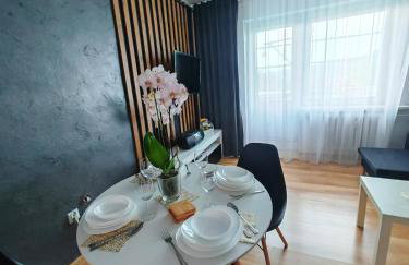 APARTAMENTY & DOMKI Chełmsko Śląskie - Foto 6