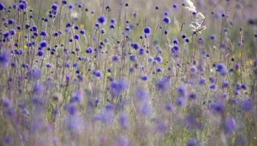 The Hideaway @ Flagham Cottage. - Foto 5