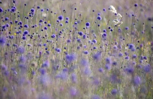 The Hideaway @ Flagham Cottage. - Foto 5