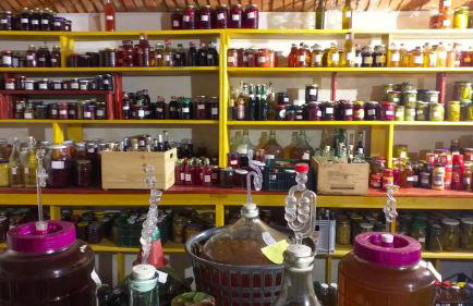 Dom Pod Złotym Bażantem - Foto 37