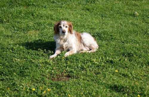 giardino del tempo - Foto 36