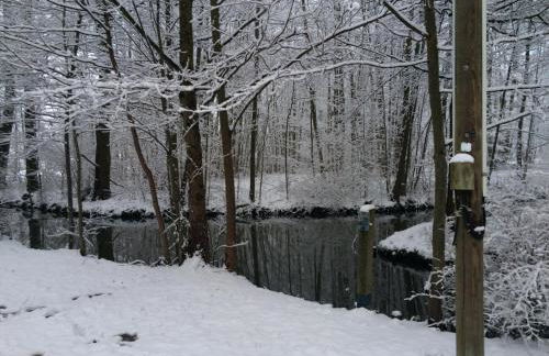 Ferienwohnungen direkt am Wasser - Photo 33
