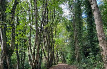 Tavnaghoney Cottages - Foto 31