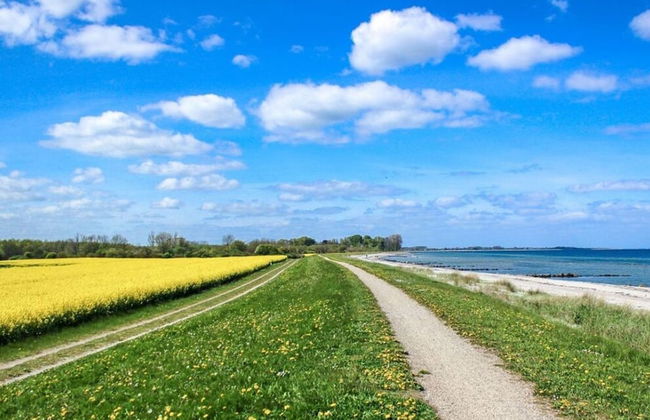 Huus Schippe "collund" - Foto 27