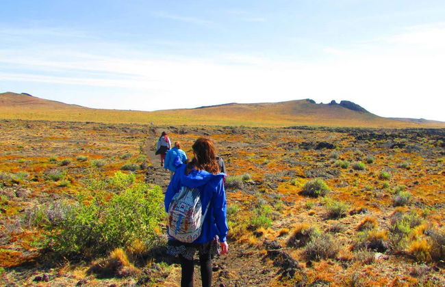 Excursión al Parque Nacional Pali Aike - Foto 2