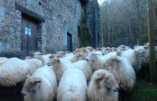 Casa Rural Orortegi - Foto 13