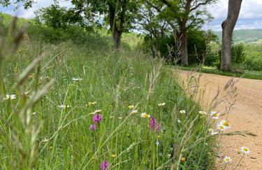 La Ferme de Belbouys - Foto 51