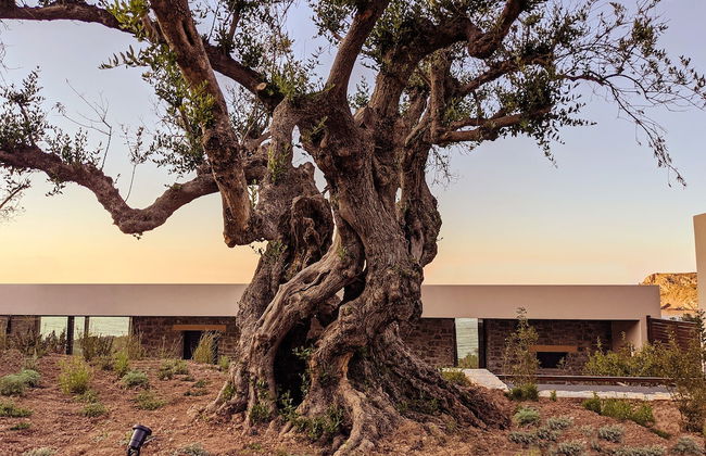 Nuez Villas - Photo 72