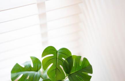 Bronte Apartment - Dales - Lakes - Kirkby Lonsdale - Foto 19