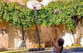 Villa del Jerte - Foto 39