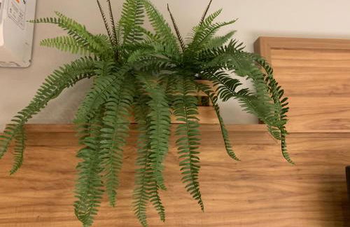 Granja Brasil - Foto 17