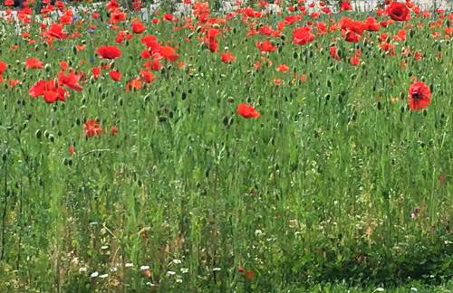 La Maison du Clos du Roi - Foto 42