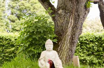 Restaries at Paradise Farm - Foto 18