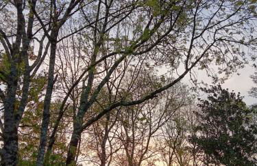 Au Moulin du Comte - en gîte - Photo 44