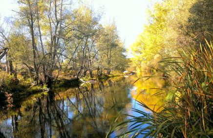 El Rincón de Gredos - Photo 67