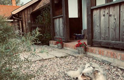 Drewniana Osada - Foto 21