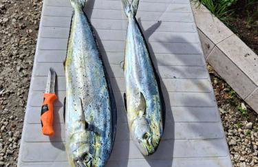 Κεφι House - Photo 6