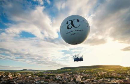 Gîte en champagne Le Sarment - Foto 15