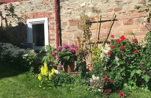 Ferienwohnung Menz - Alte Mühle - mit Milseburgblick und Gartenpool - Photo 15
