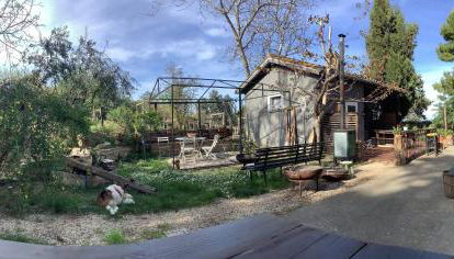 PODERE Sant'Anna B&B -Bambù room - Foto 4, Garden view