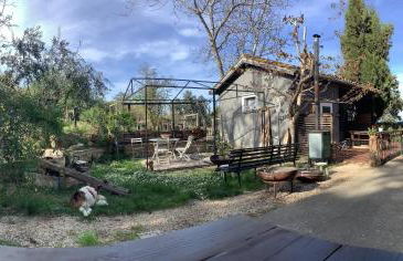 PODERE Sant'Anna B&B -Bambù room - Foto 4