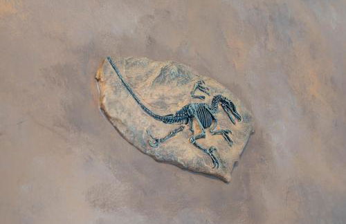 Dino Disneyland by OC Adventure Homes - Foto 56