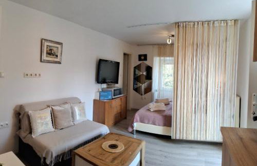 Apartman Sana - Foto 9