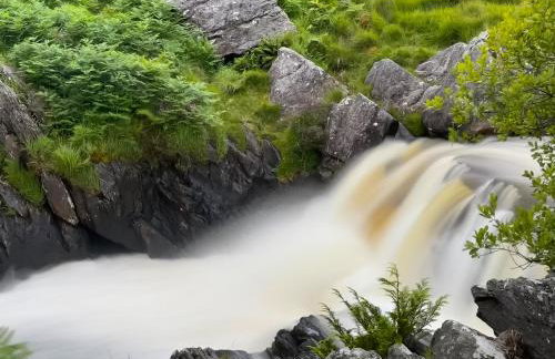 The Old Stables - Photo 17