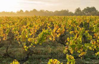 Escale Oceane 5 minutes des plages - Foto 23