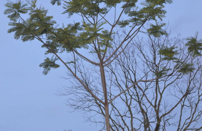 Las Cabanas - Foto 74