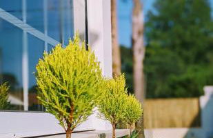 The Palm House - Foto 25